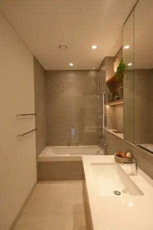 ellington house bathroom 3