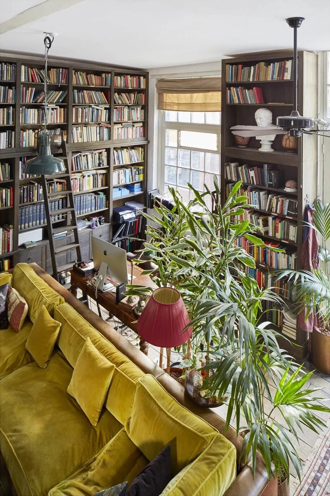 reading libraries with plants home library