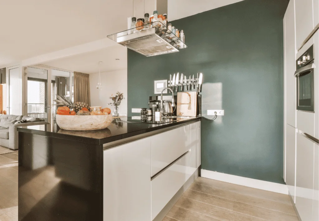Modern contemporary galley style kitchen